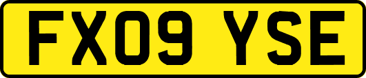 FX09YSE