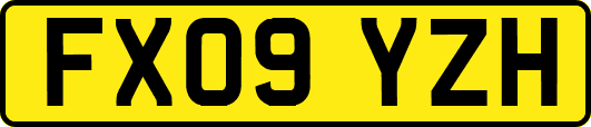 FX09YZH