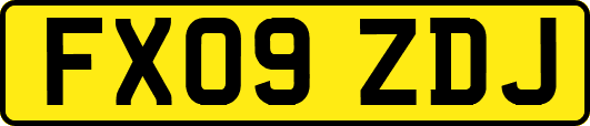 FX09ZDJ