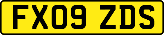 FX09ZDS