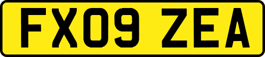 FX09ZEA