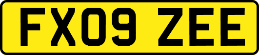 FX09ZEE