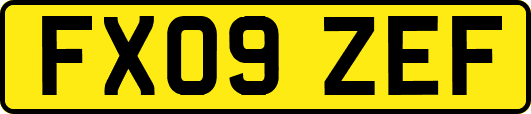 FX09ZEF