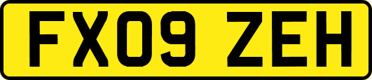 FX09ZEH