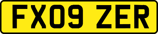 FX09ZER