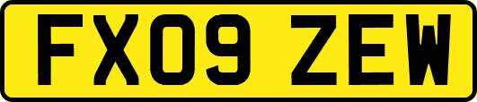 FX09ZEW