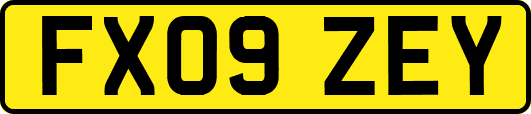 FX09ZEY