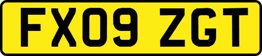 FX09ZGT