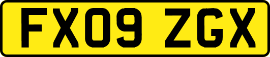 FX09ZGX