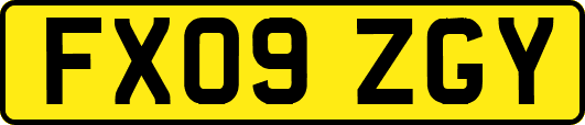 FX09ZGY