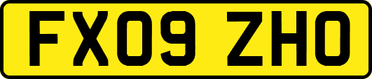 FX09ZHO