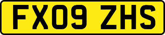 FX09ZHS
