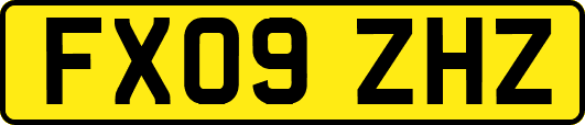 FX09ZHZ