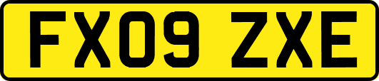 FX09ZXE