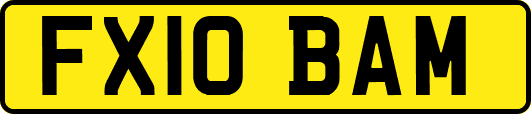 FX10BAM