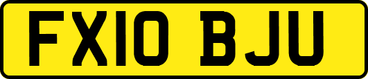 FX10BJU
