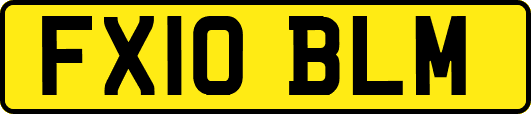 FX10BLM