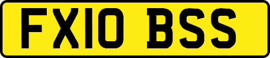 FX10BSS