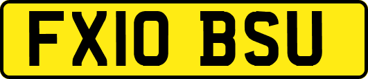 FX10BSU