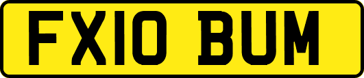 FX10BUM