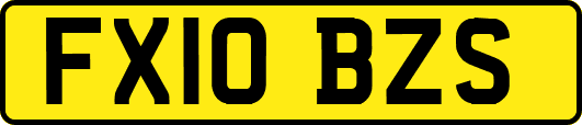 FX10BZS