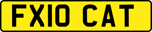 FX10CAT