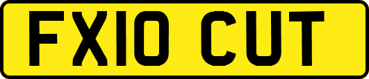 FX10CUT