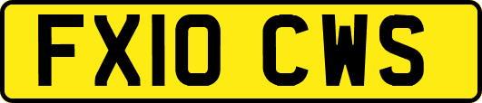 FX10CWS