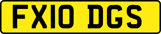 FX10DGS