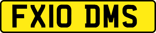 FX10DMS