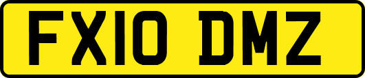 FX10DMZ
