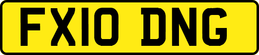 FX10DNG