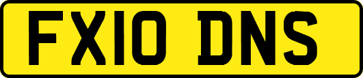 FX10DNS