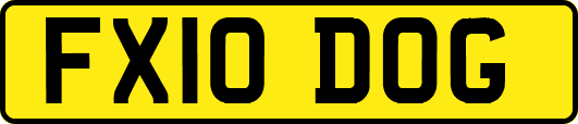 FX10DOG