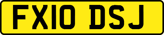 FX10DSJ