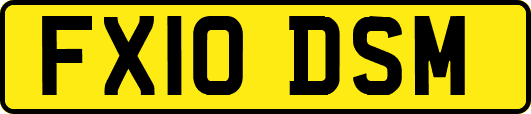 FX10DSM