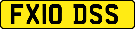 FX10DSS