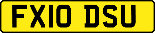 FX10DSU