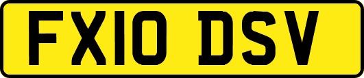 FX10DSV