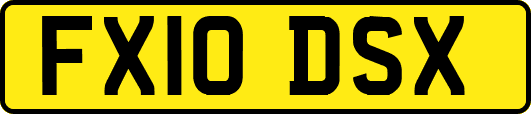 FX10DSX