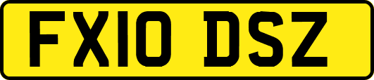 FX10DSZ