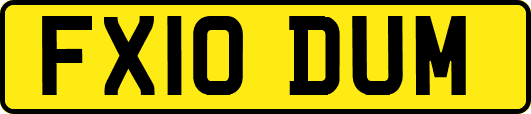 FX10DUM