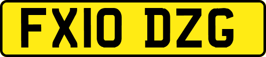 FX10DZG