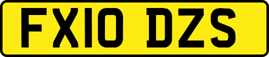 FX10DZS