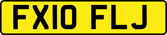 FX10FLJ