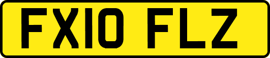 FX10FLZ