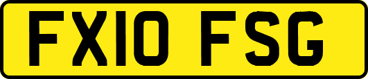 FX10FSG