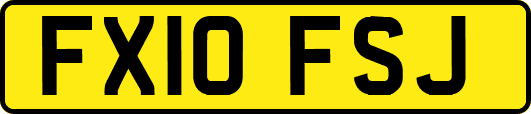 FX10FSJ