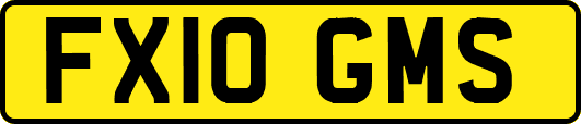 FX10GMS