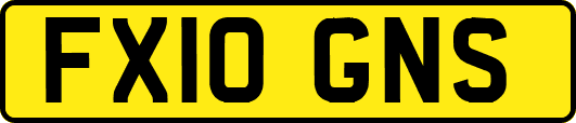 FX10GNS